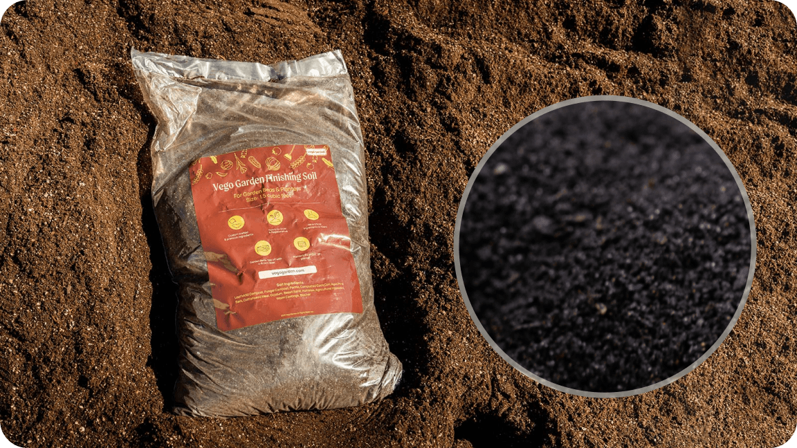 What Exactly is Biochar