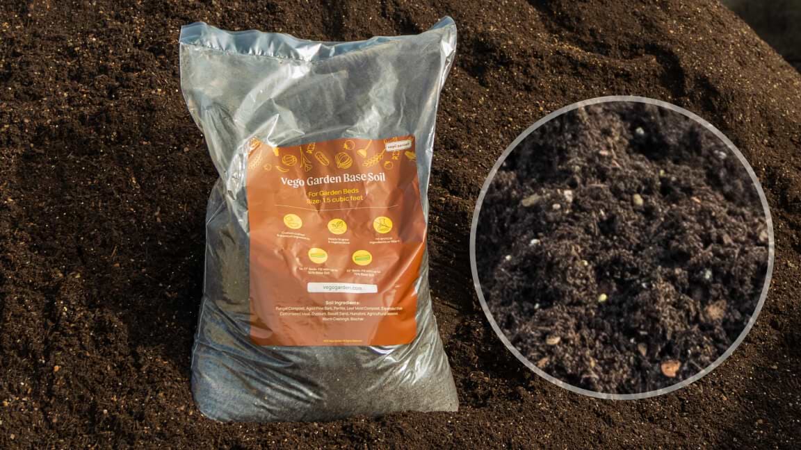 What Exactly is Biochar