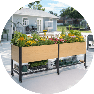 Vego garden beds