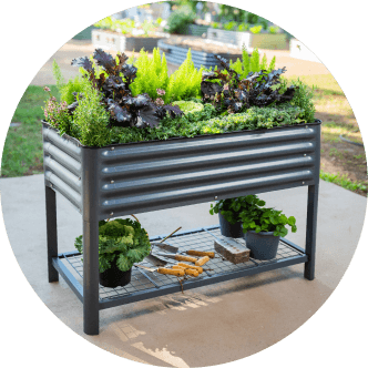 Vego garden beds