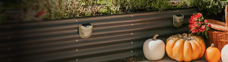 Vego garden beds