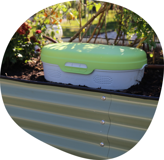 Vermicomposting
