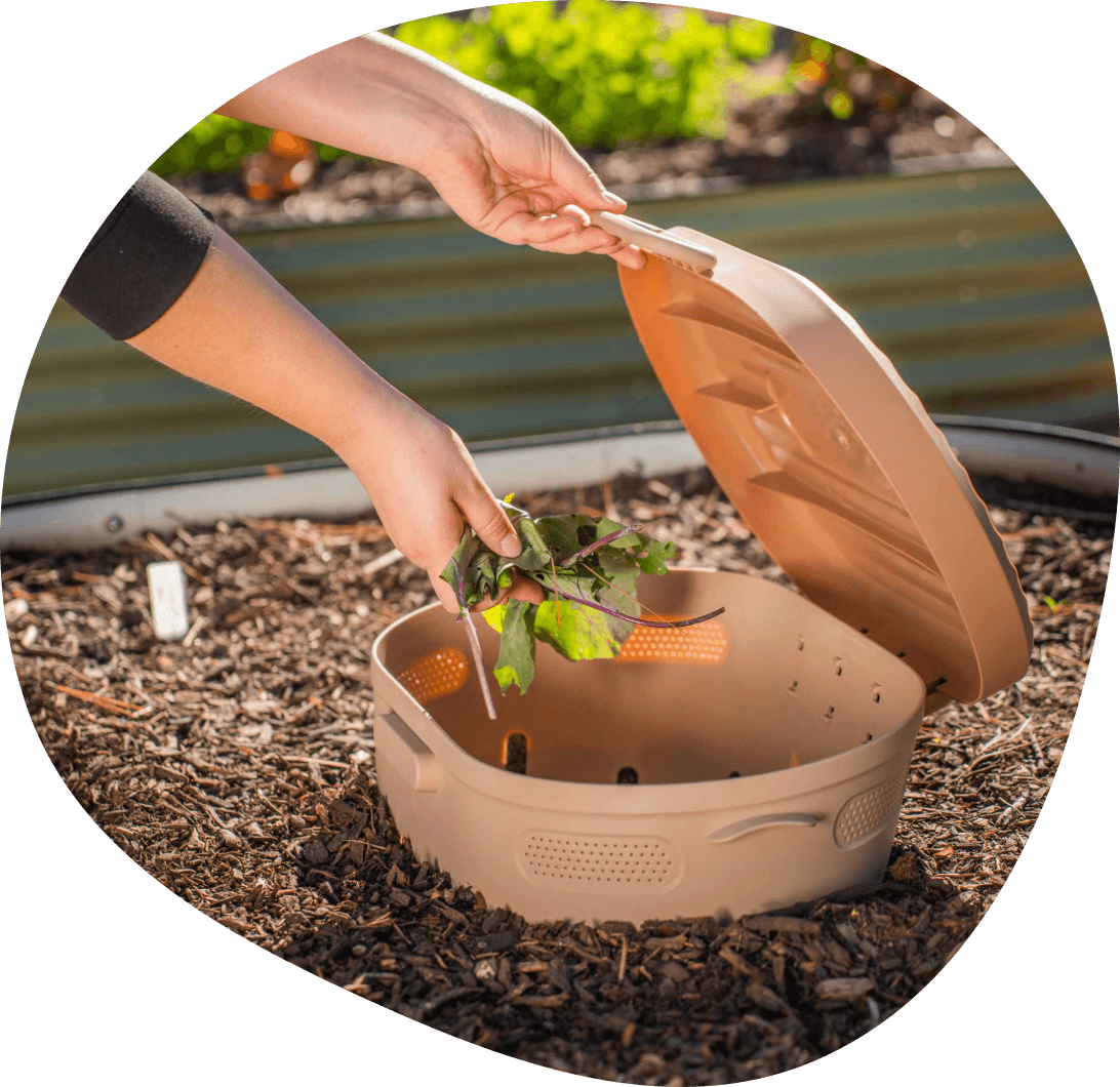 Vego garden beds