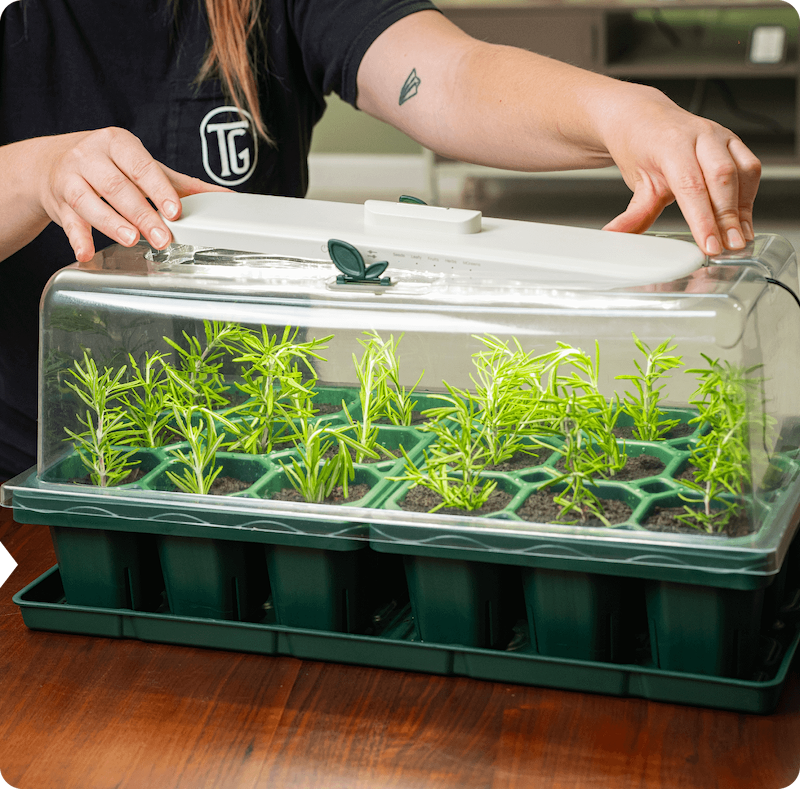 Vego garden beds
