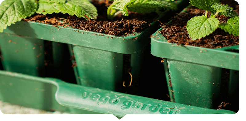 Vego garden beds