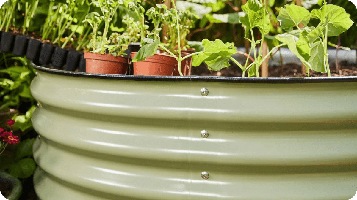 Vego garden beds