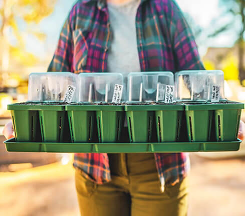 Vego garden beds