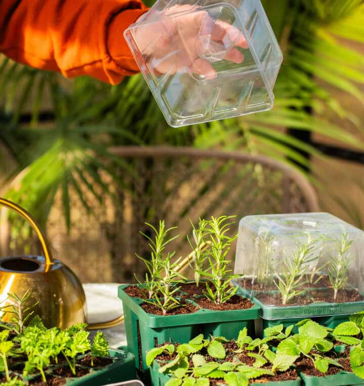 Vego garden beds