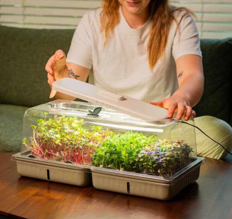 Vego garden beds