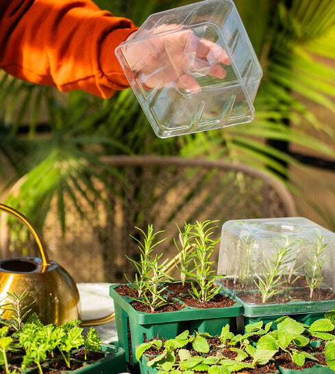Vego garden beds