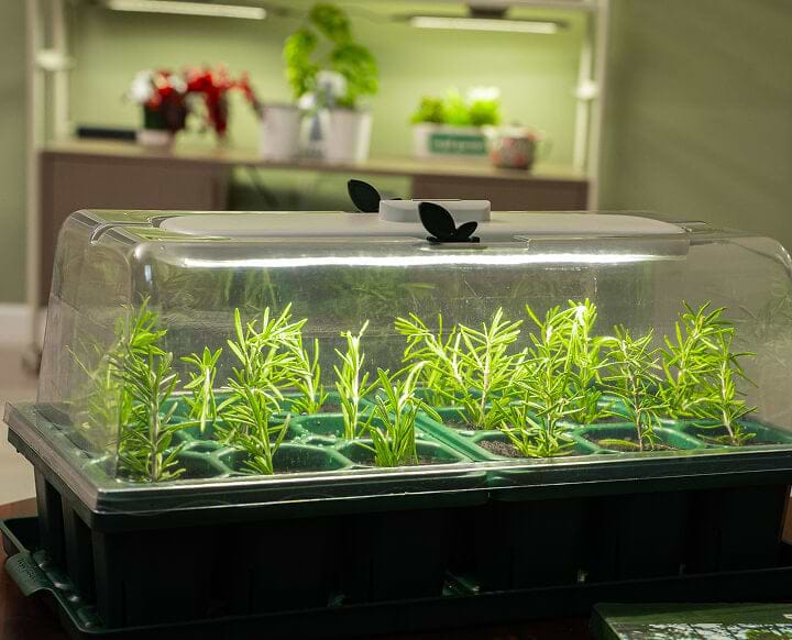 Vego garden beds