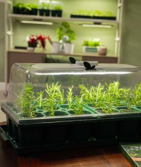 Vego garden beds