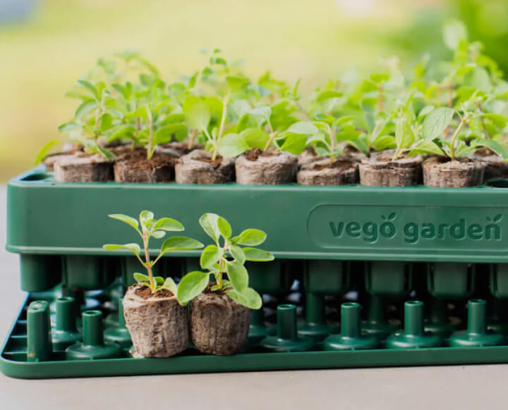 Vego garden beds