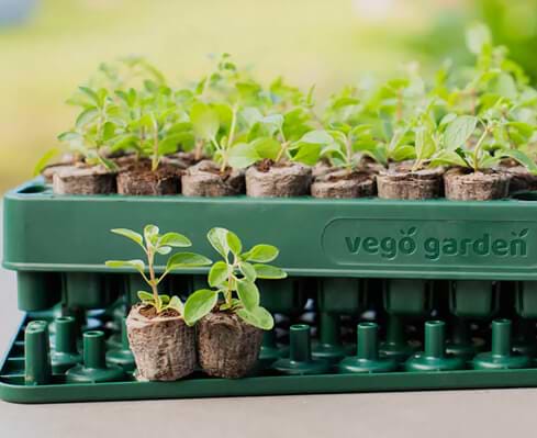 Vego garden beds