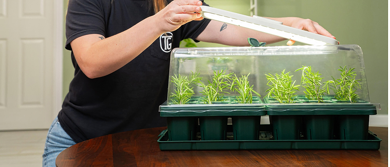 Vego garden beds