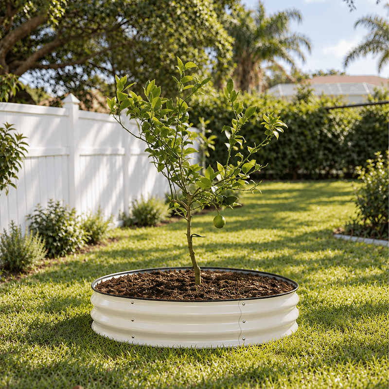 36" | Best for Small-to-Medium Trees