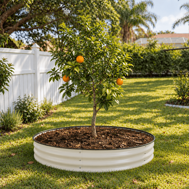48" | Best for Established Trees