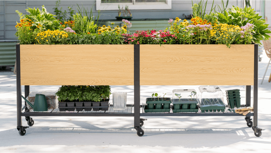 Vego garden beds