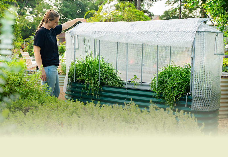 Vego garden beds
