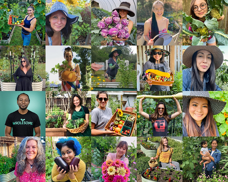 Vego Garden Affiliate Program