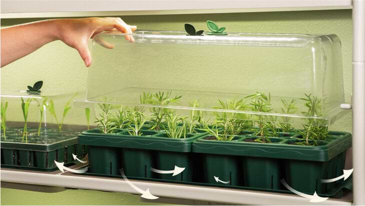 Air Pruning Vents