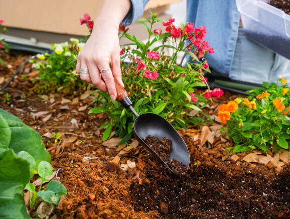 Vego garden beds