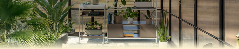 Bring Your Garden Indoors