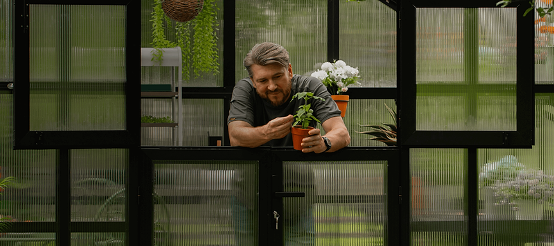 Vego garden beds