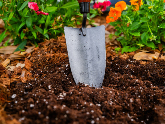 Vego garden beds