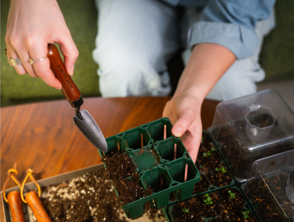 Vego garden beds