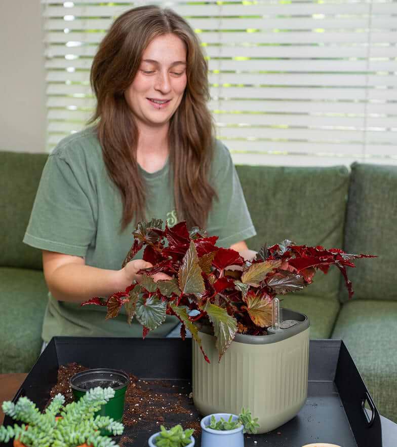 Deep, Versatile Trays