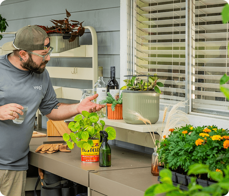 Vego garden beds