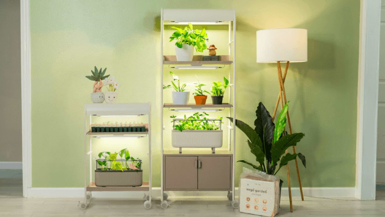 Vego garden beds