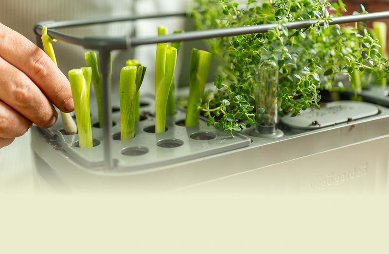 Vego garden beds