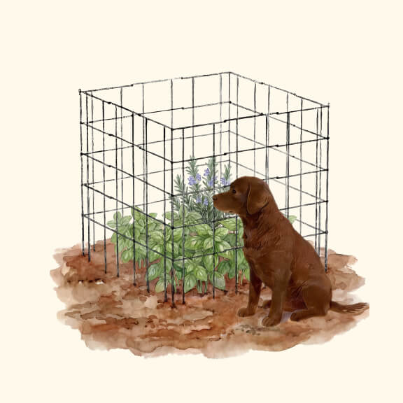 Fence