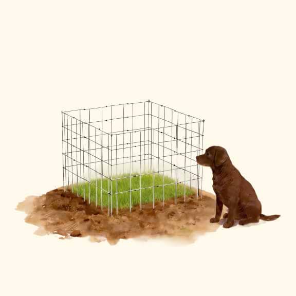 Vego garden beds