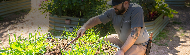 Vego garden beds