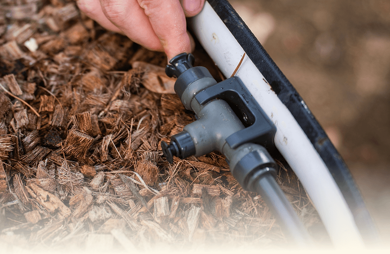 Vego garden beds