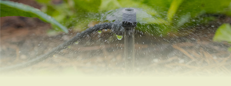 Flexible and Reliable Watering
