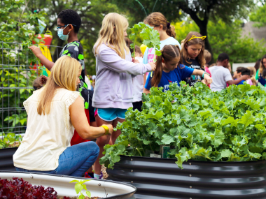 Vego Garden Giving Back