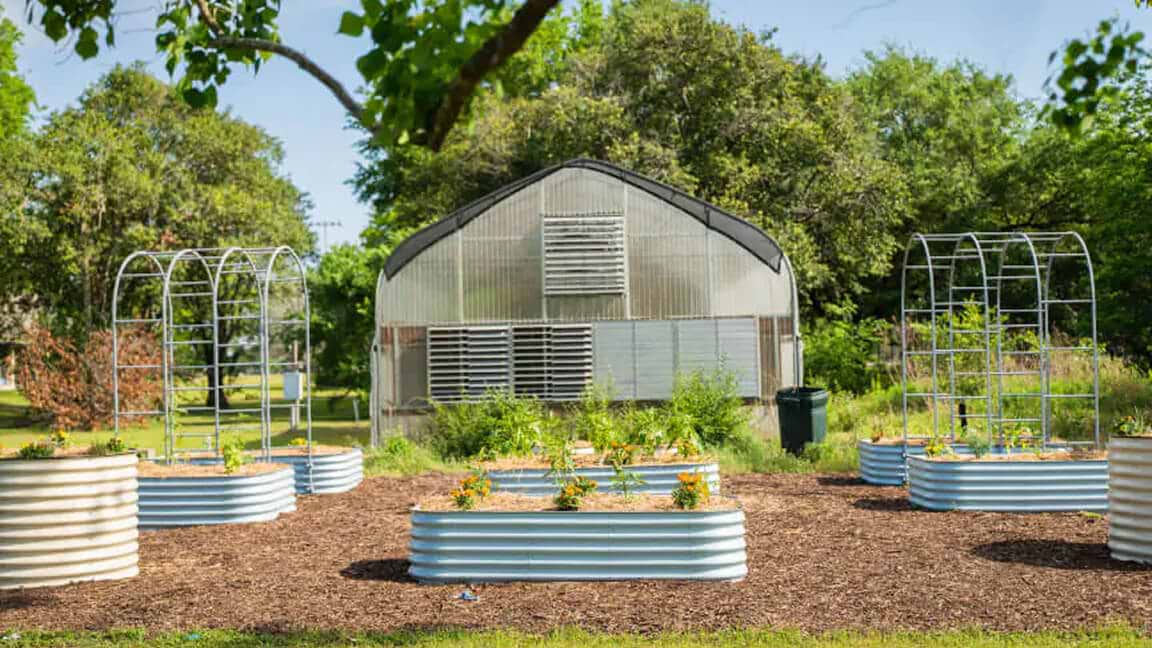 Vego garden beds