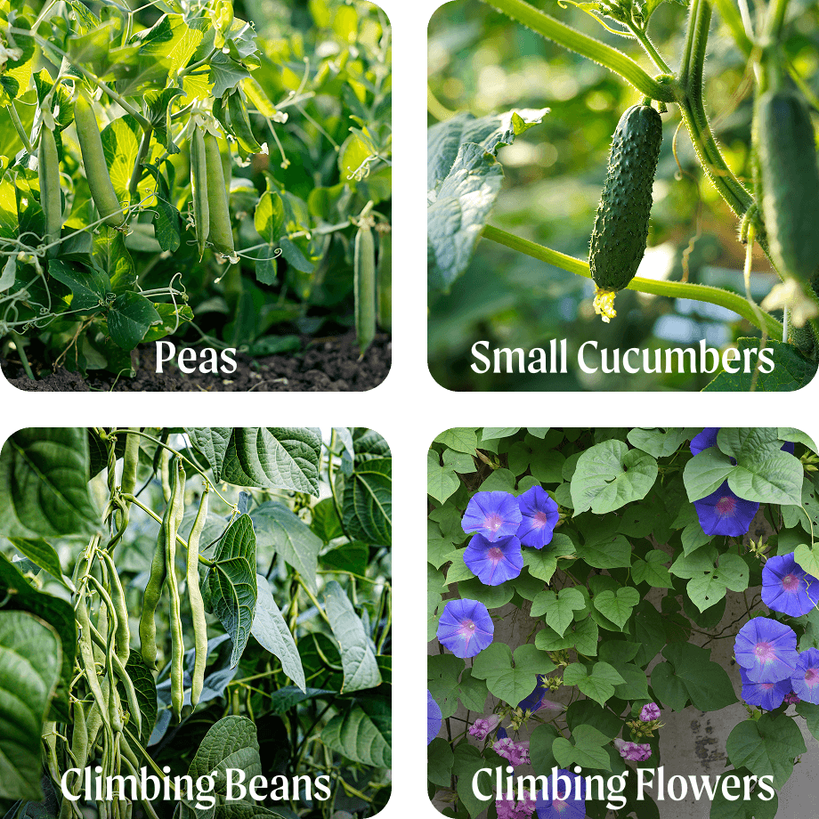 Grow What You Love
