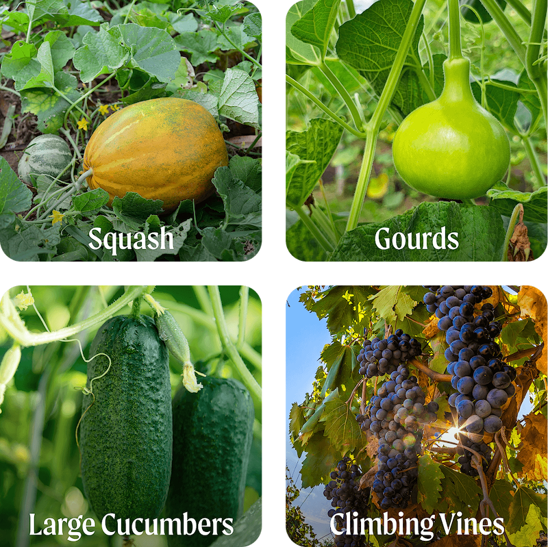 Grow What You Love