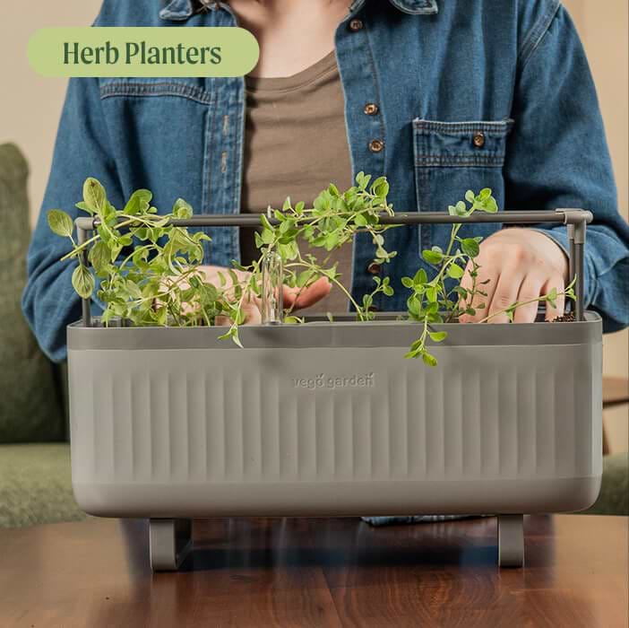 Vego garden beds