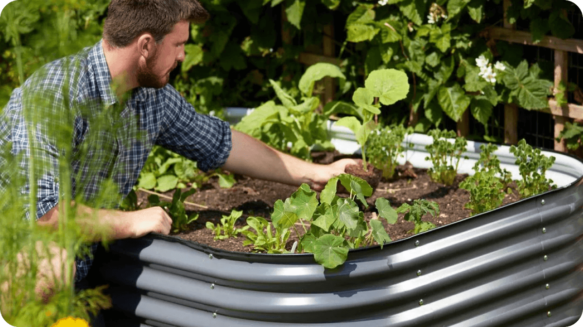 Vego garden beds