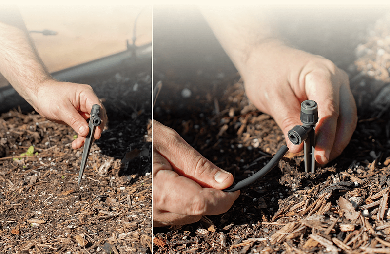 Vego garden beds