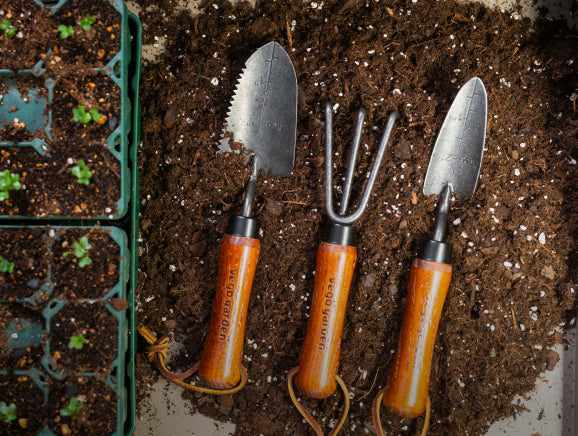 Vego garden beds