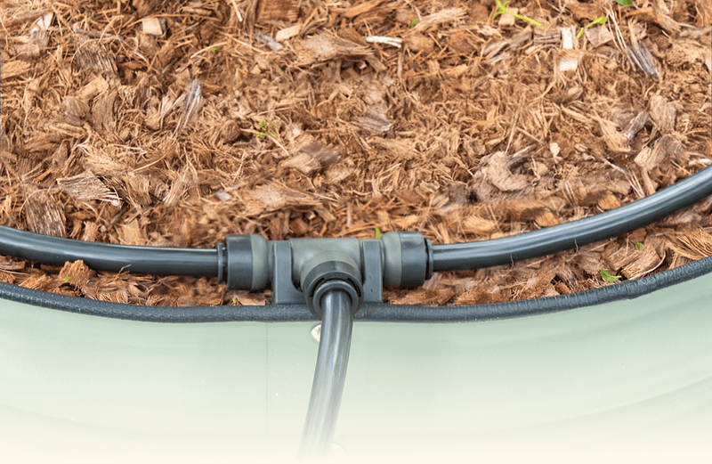 Vego garden beds