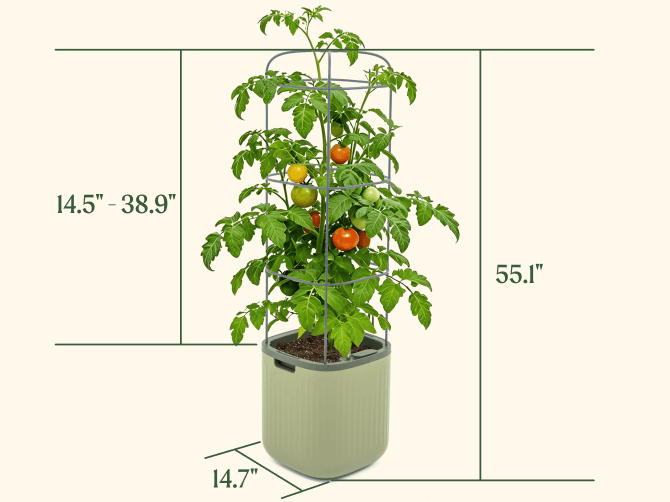 Vego garden beds