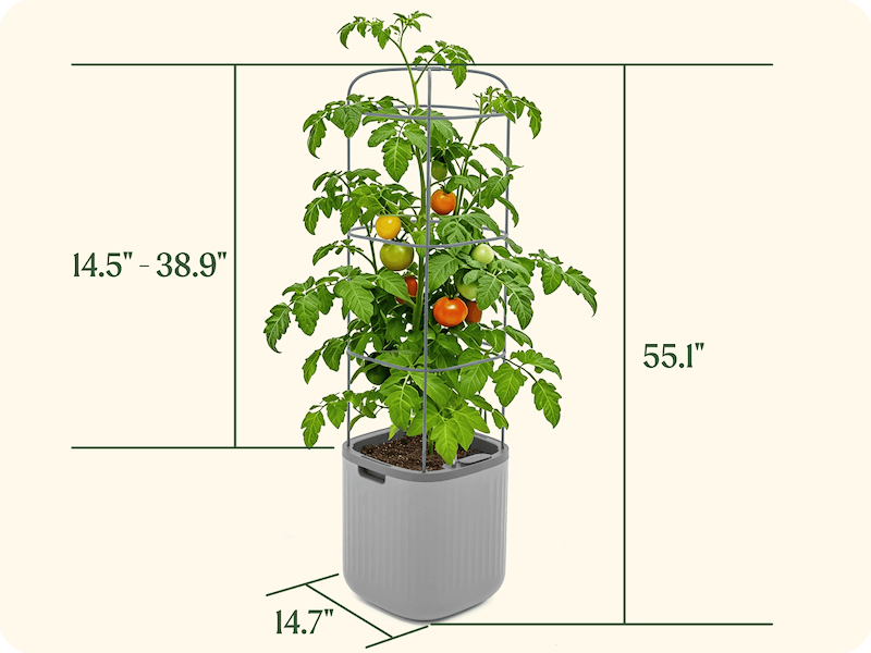 Vego garden beds